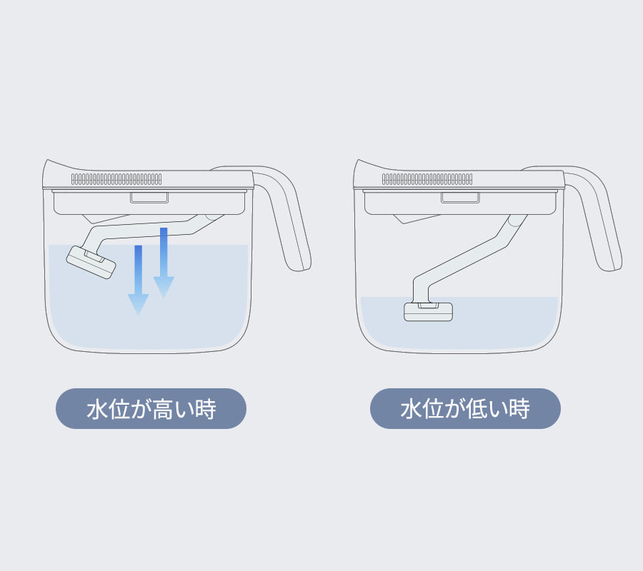 CAREPOD ビューティーモイスチャーライザー肌保湿加湿器  (MS021P)